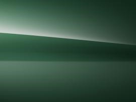 VERT FONCE UNI