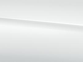 ARTIC WHITE